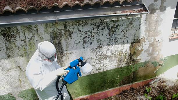 Trusted Mold Testing service in Pine Brook, NJ - Cheap Mold Removal